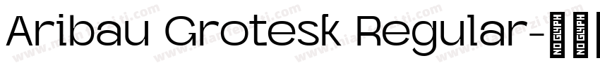 Aribau Grotesk Regular字体转换